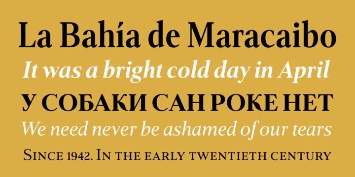 Frontis Italic Font preview